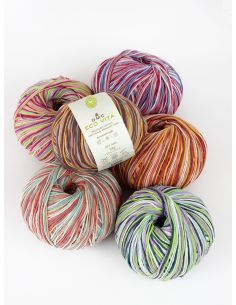 Coton recyclé Eco Vita Multicolore DMC 2