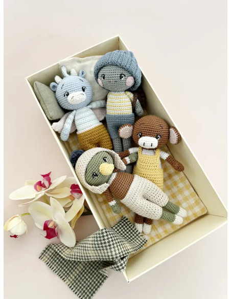Livre les amis de Naomi au crochet