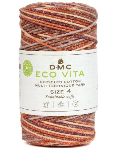 Coton recyclé Eco Vita 4 Multicolore DMC