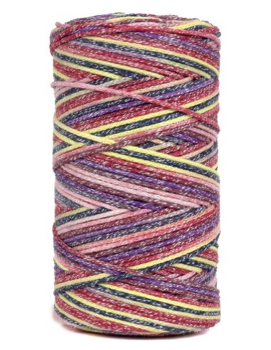 Coton recyclé Eco Vita 4 Multicolore DMC