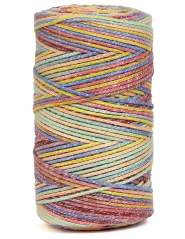 Coton recyclé Eco Vita 4 Multicolore DMC
