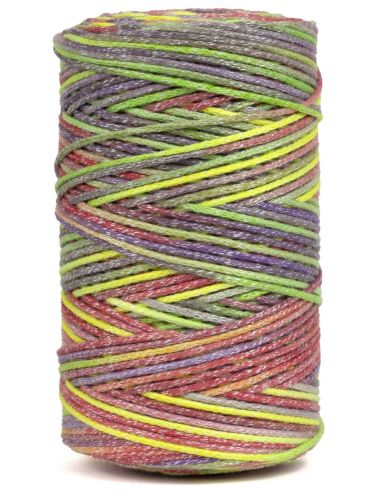 Coton recyclé Eco Vita 4 Multicolore DMC