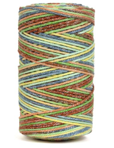 Coton recyclé Eco Vita 4 Multicolore DMC
