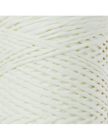 Fil Luxury Raffia Paper Rico Design