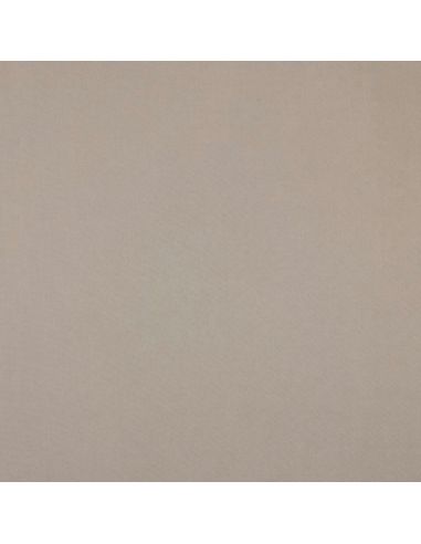 Tissu tencel effet peau de pêche - Sable