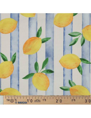 Toile de coton canvas - Citrons