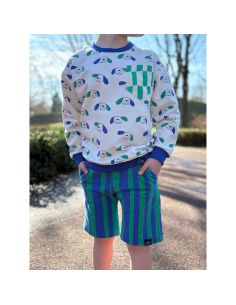 Tissu sweat Jennifer Bouron - Rayures bleues et vertes 2