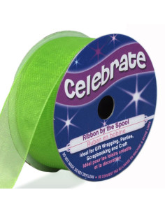Ruban organza Celebrate vert anis - 20 mm x 5 m
