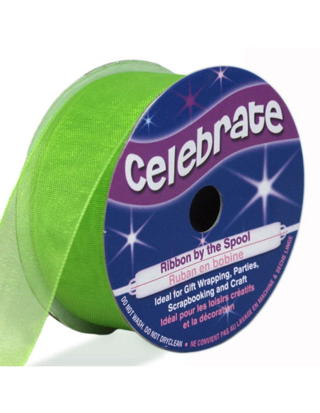 Ruban organza Celebrate vert anis - 20 mm x 5 m