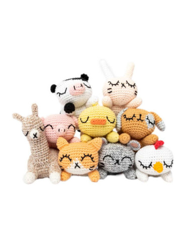 Livret Ricorumi Pocket Pals
