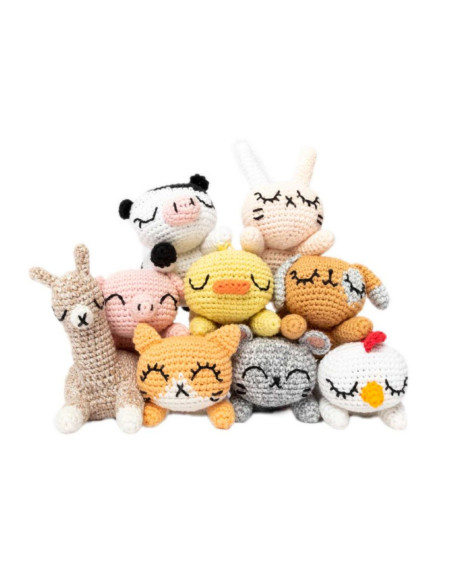 Livret Ricorumi Pocket Pals