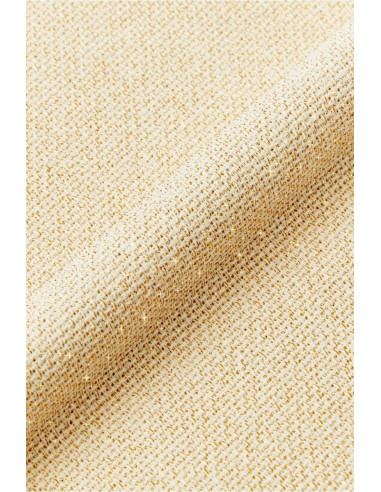 Toile aïda 5.5 métallisée à broder DMC