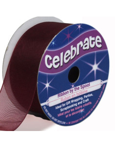 Ruban organza Celebrate prune - 25 mm x 5 m