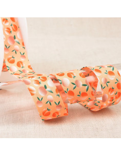 Biais fruits - Abricot