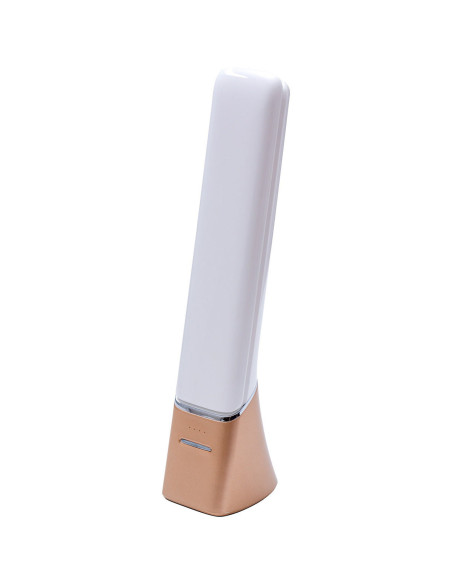 Lampe portative rechargeable Smart Go Daylight