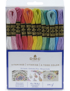 Pack de 24 échevettes fils à broder moulinés DMC - Les vitaminés