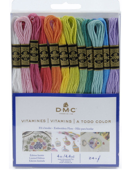 Pack de 24 échevettes fils à broder moulinés DMC - Les vitaminés