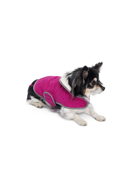 Patron de manteau pour chien - Burda 6049