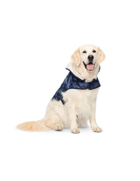Patron de manteau pour chien - Burda 6049