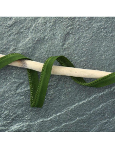 Passepoil polyester - Vert