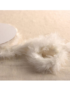 Plumes marabout - Rouleau de 5 m - Ivoire