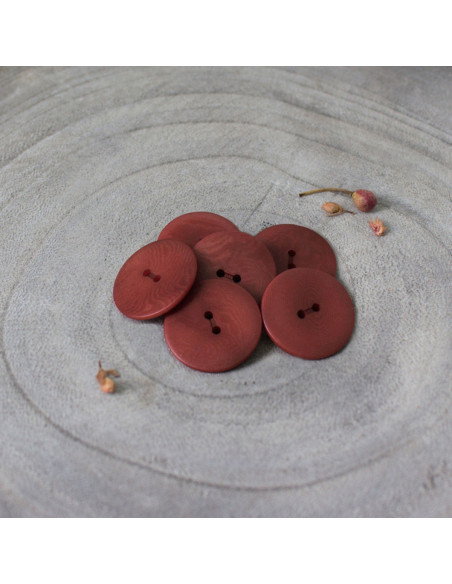Bouton Palm - Rust