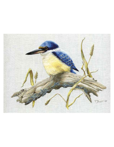 Livre transferts en broderie traditionnelle