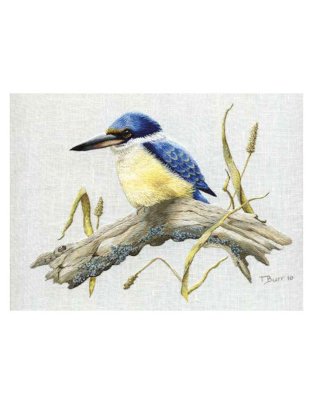 Livre transferts en broderie traditionnelle