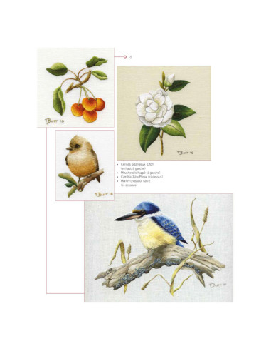 Livre transferts en broderie traditionnelle