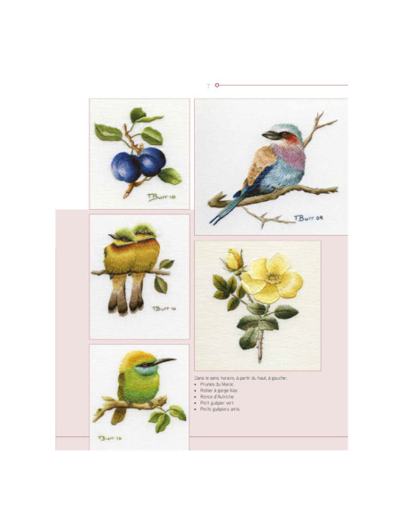 Livre transferts en broderie traditionnelle