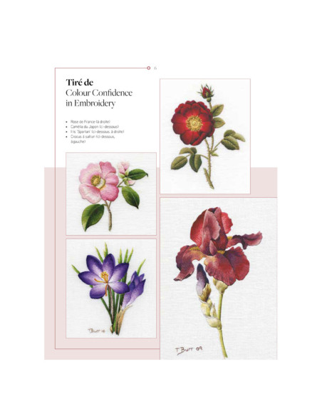 Livre transferts en broderie traditionnelle