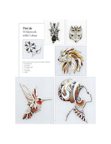 Livre transferts en broderie traditionnelle