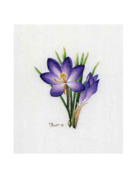 Livre transferts en broderie traditionnelle
