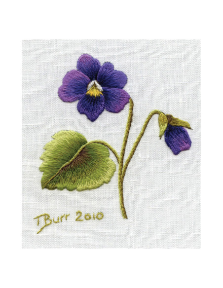 Livre transferts en broderie traditionnelle