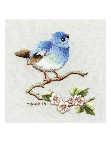 Livre transferts en broderie traditionnelle