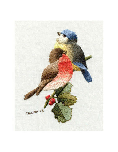 Livre transferts en broderie traditionnelle