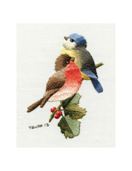Livre transferts en broderie traditionnelle