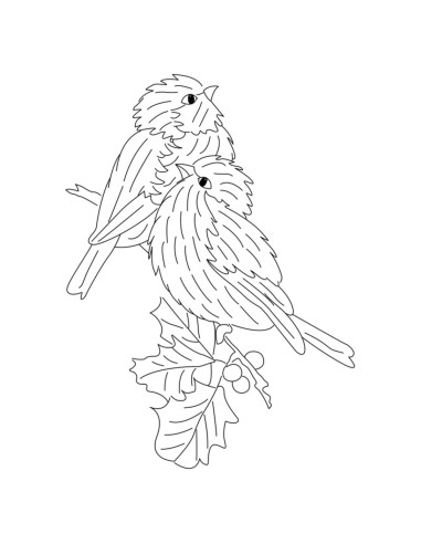 Livre transferts en broderie traditionnelle