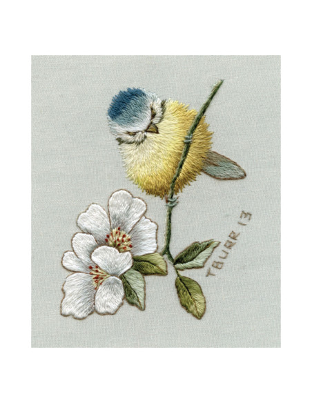 Livre transferts en broderie traditionnelle