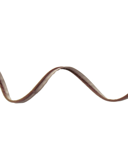 Passepoil d´habillement velours - Marron