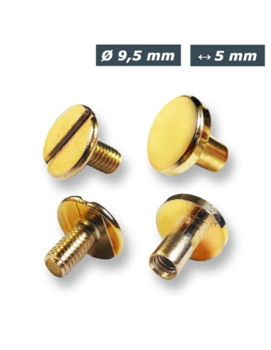 25 sets de vis chicago 9,5 mm x 5 mm - Or