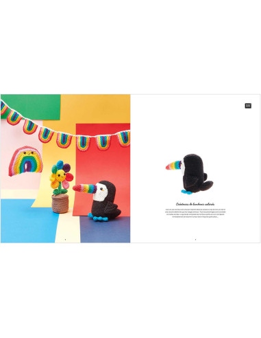 Livret Ricorumi Rainbow