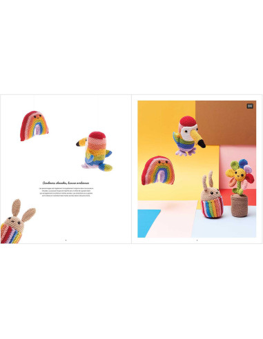 Livret Ricorumi Rainbow