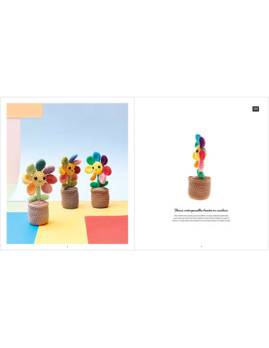 Livret Ricorumi Rainbow