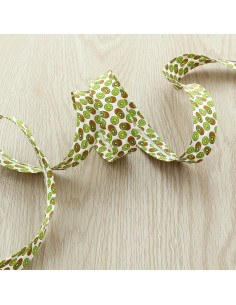 Biais fruits - Kiwi