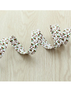 Biais fruits - Noix de coco