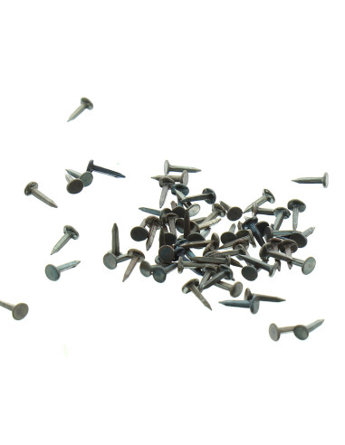 Semences de tapissier 7 mm