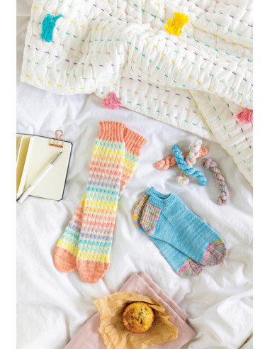 Livre la bible des chaussettes au tricot
