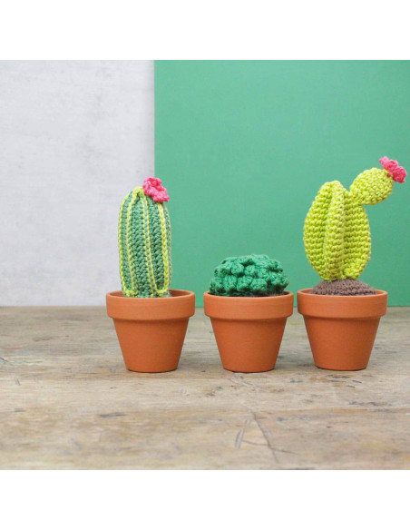Kit crochet - Cactus