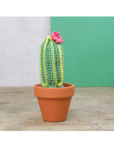 Kit crochet - Cactus 2